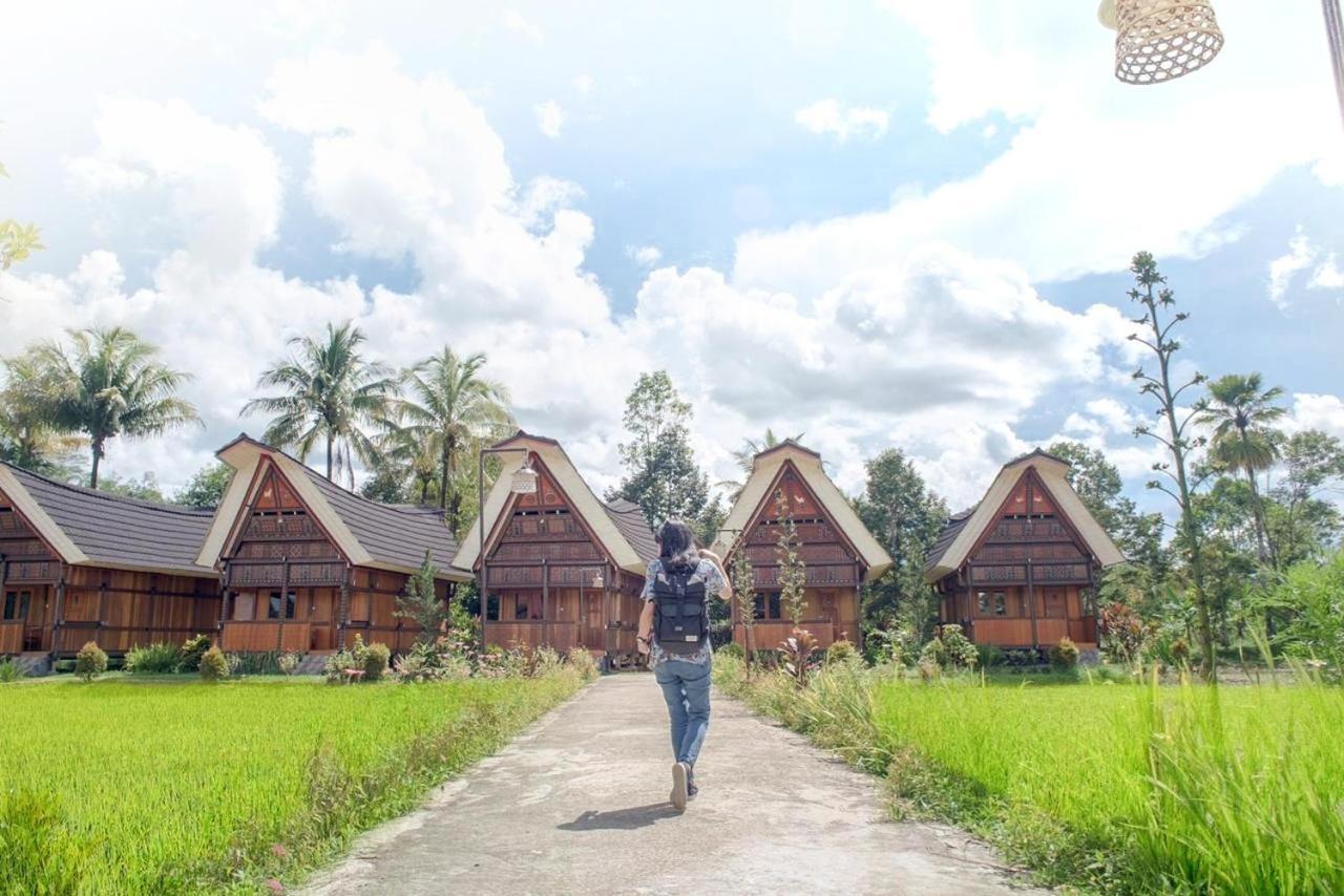 Toraja Misiliana Hotel Rantepao Exterior foto